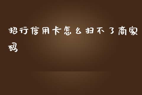 招行信用卡怎么扫不了商家码_https://cj007.lansai.wang_金融监管_第1张