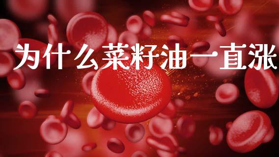 为什么菜籽油一直涨_https://cj007.lansai.wang_全球市场_第1张