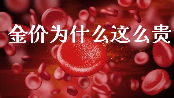 金价为什么这么贵_https://cj007.lansai.wang_外汇交易_第1张
