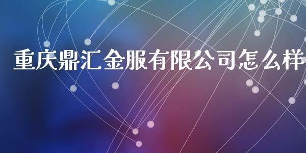 重庆鼎汇金服有限公司怎么样_https://cj007.lansai.wang_外汇交易_第1张