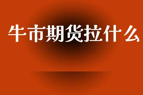 牛市期货拉什么_https://cj007.lansai.wang_债券资讯_第1张