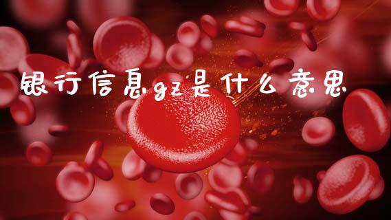 银行信息gz是什么意思_https://cj007.lansai.wang_外汇交易_第1张