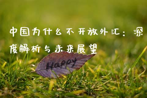 中国为什么不开放外汇：深度解析与未来展望_https://cj007.lansai.wang_期货开户_第1张