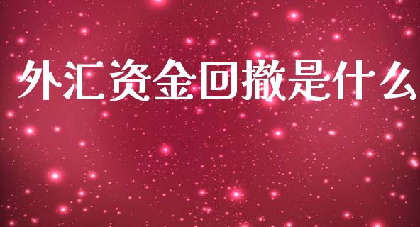外汇资金回撤是什么_https://cj007.lansai.wang_全球市场_第1张