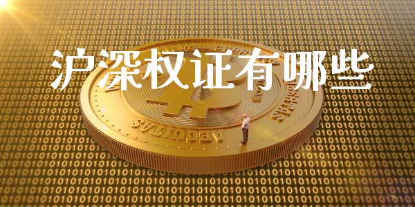 沪深权证有哪些_https://cj007.lansai.wang_债券资讯_第1张