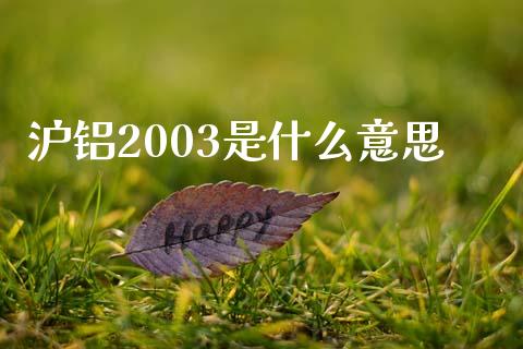 沪铝2003是什么意思_https://cj007.lansai.wang_全球市场_第1张