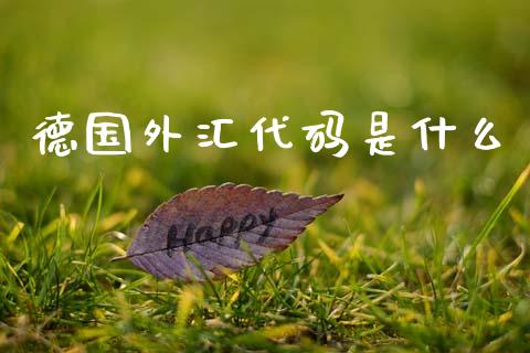 德国外汇代码是什么_https://cj007.lansai.wang_财经新闻_第1张
