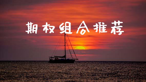 期权组合推荐_https://cj007.lansai.wang_财经新闻_第1张