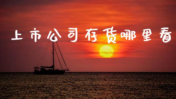 上市公司存货哪里看_https://cj007.lansai.wang_外汇交易_第1张