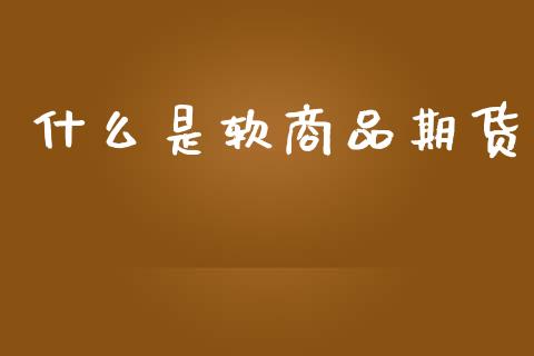什么是软商品期货_https://cj007.lansai.wang_债券资讯_第1张