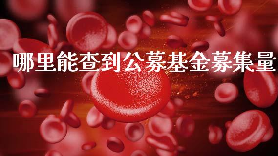 哪里能查到公募基金募集量_https://cj007.lansai.wang_期货开户_第1张