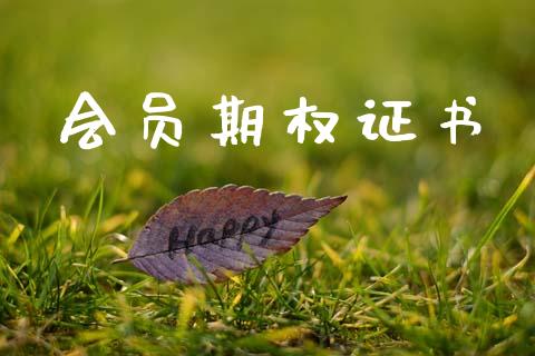 会员期权证书_https://cj007.lansai.wang_外汇交易_第1张