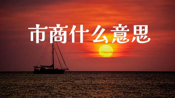 市商什么意思_https://cj007.lansai.wang_期货开户_第1张
