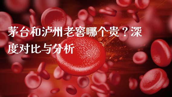 茅台和泸州老窖哪个贵？深度对比与分析_https://cj007.lansai.wang_债券资讯_第1张