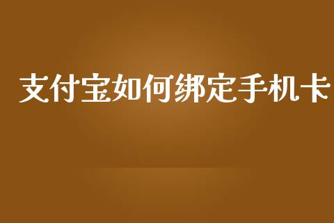 支付宝如何绑定手机卡_https://cj007.lansai.wang_金融监管_第1张