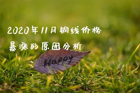 2020年11月铜线价格暴涨的原因分析_https://cj007.lansai.wang_全球市场_第1张