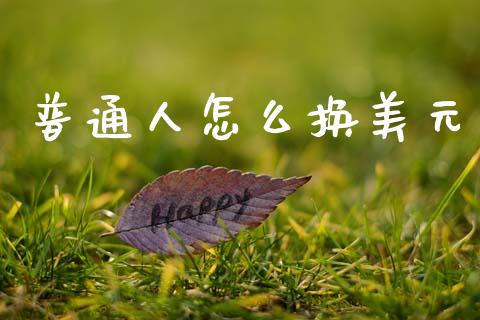 普通人怎么换美元_https://cj007.lansai.wang_全球市场_第1张