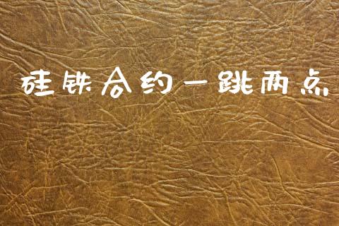 硅铁合约一跳两点_https://cj007.lansai.wang_期货开户_第1张