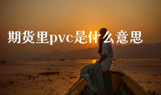期货里pvc是什么意思_https://cj007.lansai.wang_债券资讯_第1张