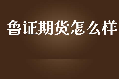 鲁证期货怎么样_https://cj007.lansai.wang_外汇交易_第1张