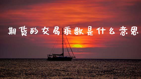 期货的交易乘数是什么意思_https://cj007.lansai.wang_债券资讯_第1张