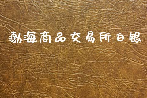 渤海商品交易所白银_https://cj007.lansai.wang_外汇交易_第1张