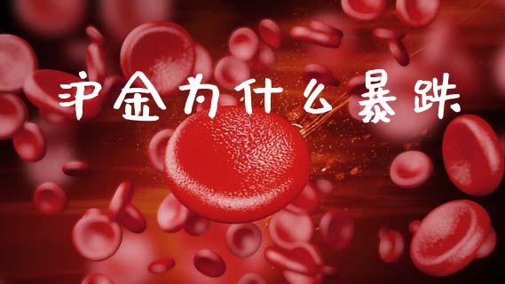 沪金为什么暴跌_https://cj007.lansai.wang_金融监管_第1张