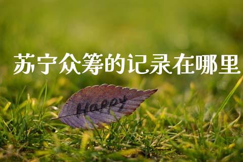 苏宁众筹的记录在哪里_https://cj007.lansai.wang_财经新闻_第1张
