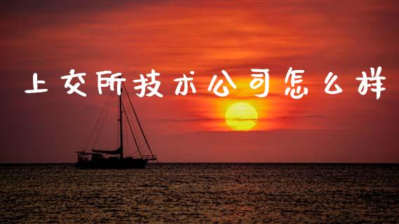 上交所技术公司怎么样_https://cj007.lansai.wang_金融监管_第1张