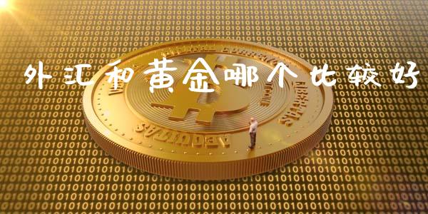 外汇和黄金哪个比较好_https://cj007.lansai.wang_金融监管_第1张