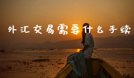 外汇交易需要什么手续_https://cj007.lansai.wang_外汇交易_第1张