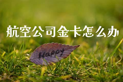 航空公司金卡怎么办_https://cj007.lansai.wang_财经新闻_第1张
