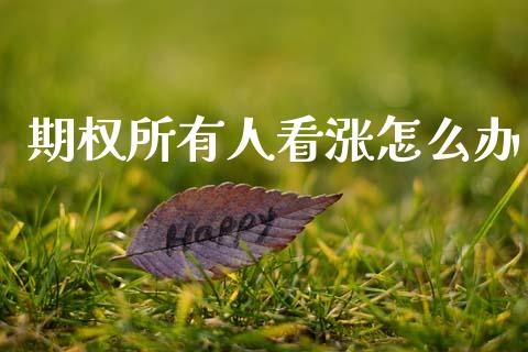 期权所有人看涨怎么办_https://cj007.lansai.wang_期货开户_第1张