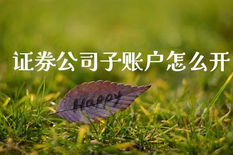 证券公司子账户怎么开_https://cj007.lansai.wang_外汇交易_第1张