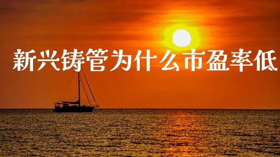 新兴铸管为什么市盈率低_https://cj007.lansai.wang_期货开户_第1张