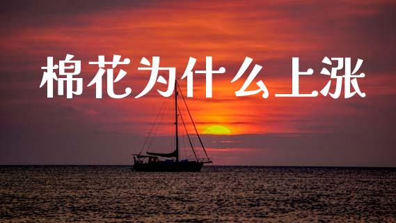 棉花为什么上涨_https://cj007.lansai.wang_期货开户_第1张
