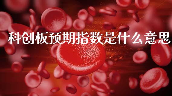 科创板预期指数是什么意思_https://cj007.lansai.wang_财经新闻_第1张