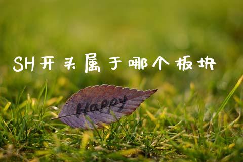 SH开头属于哪个板块_https://cj007.lansai.wang_债券资讯_第1张