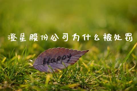 澄星股份公司为什么被处罚_https://cj007.lansai.wang_金融监管_第1张