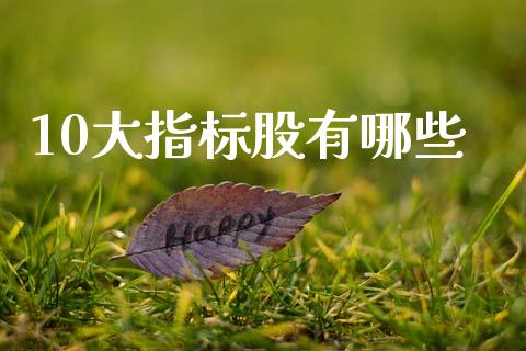 10大指标股有哪些_https://cj007.lansai.wang_金融监管_第1张