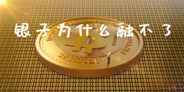 银子为什么融不了_https://cj007.lansai.wang_外汇交易_第1张