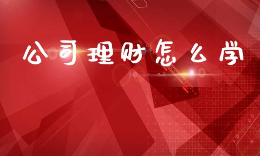 公司理财怎么学_全球市场_第1张_期货开户_金融监管_外汇交易_债券资讯_全球市场_财经新闻 公司理财怎么学_https://cj007.lansai.wang_全球市场_第1张