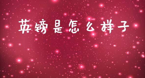 英镑是怎么样子_https://cj007.lansai.wang_金融监管_第1张