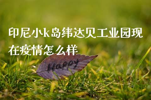 印尼小k岛纬达贝工业园现在疫情怎么样_https://cj007.lansai.wang_债券资讯_第1张