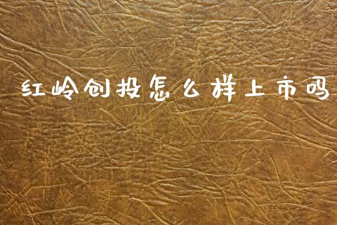 红岭创投怎么样上市吗_https://cj007.lansai.wang_财经新闻_第1张