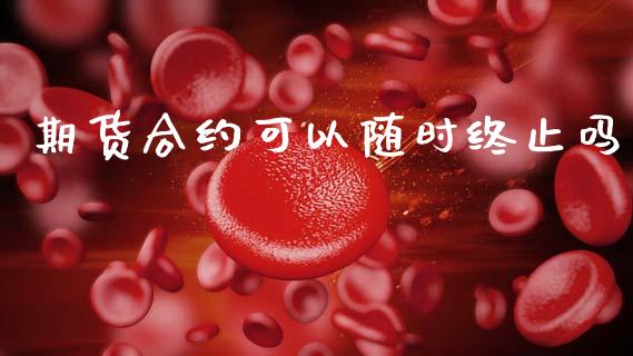期货合约可以随时终止吗_https://cj007.lansai.wang_金融监管_第1张