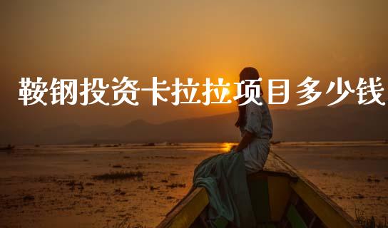 鞍钢投资卡拉拉项目多少钱_https://cj007.lansai.wang_金融监管_第1张
