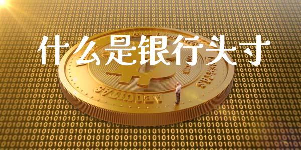 什么是银行头寸_https://cj007.lansai.wang_期货开户_第1张