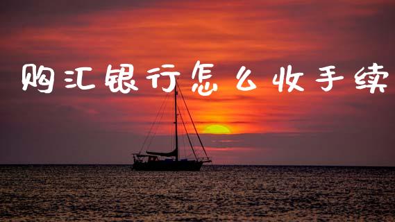 购汇银行怎么收手续_https://cj007.lansai.wang_债券资讯_第1张