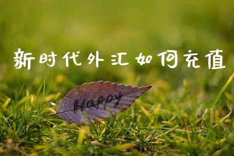 新时代外汇如何充值_https://cj007.lansai.wang_金融监管_第1张